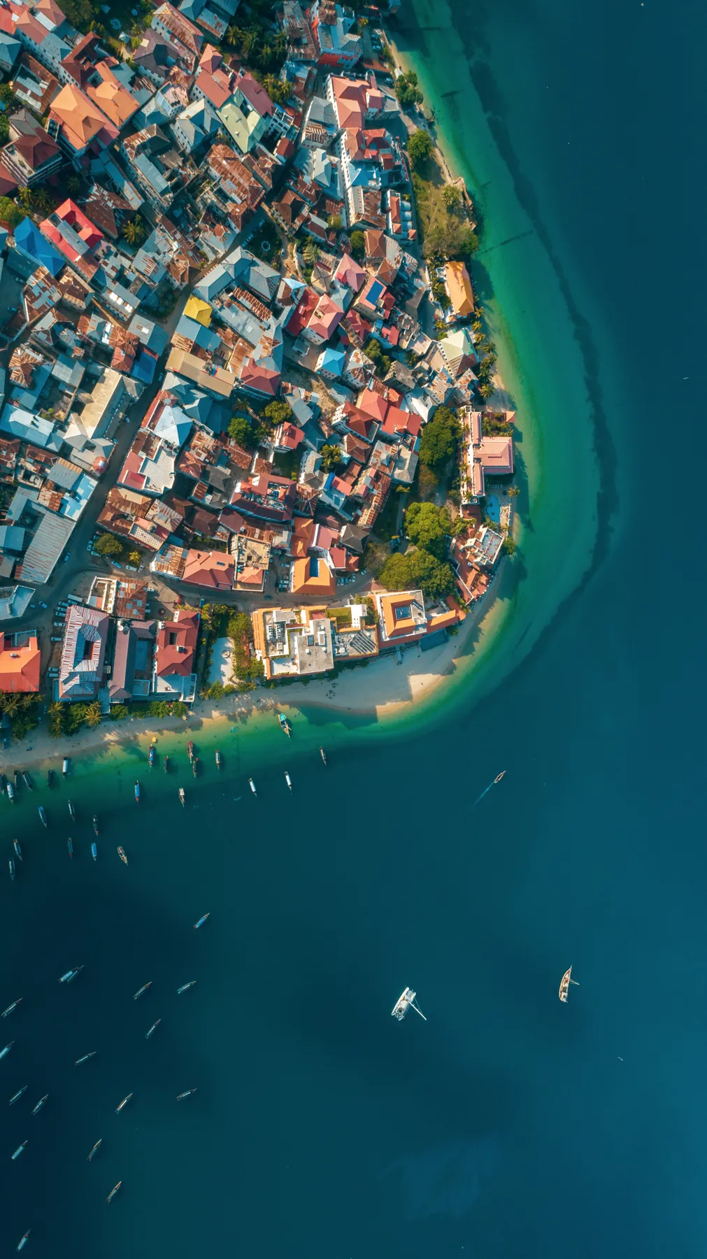 Aerial view of Stone Town, Zanzibar, on its point between the harbour and the beach