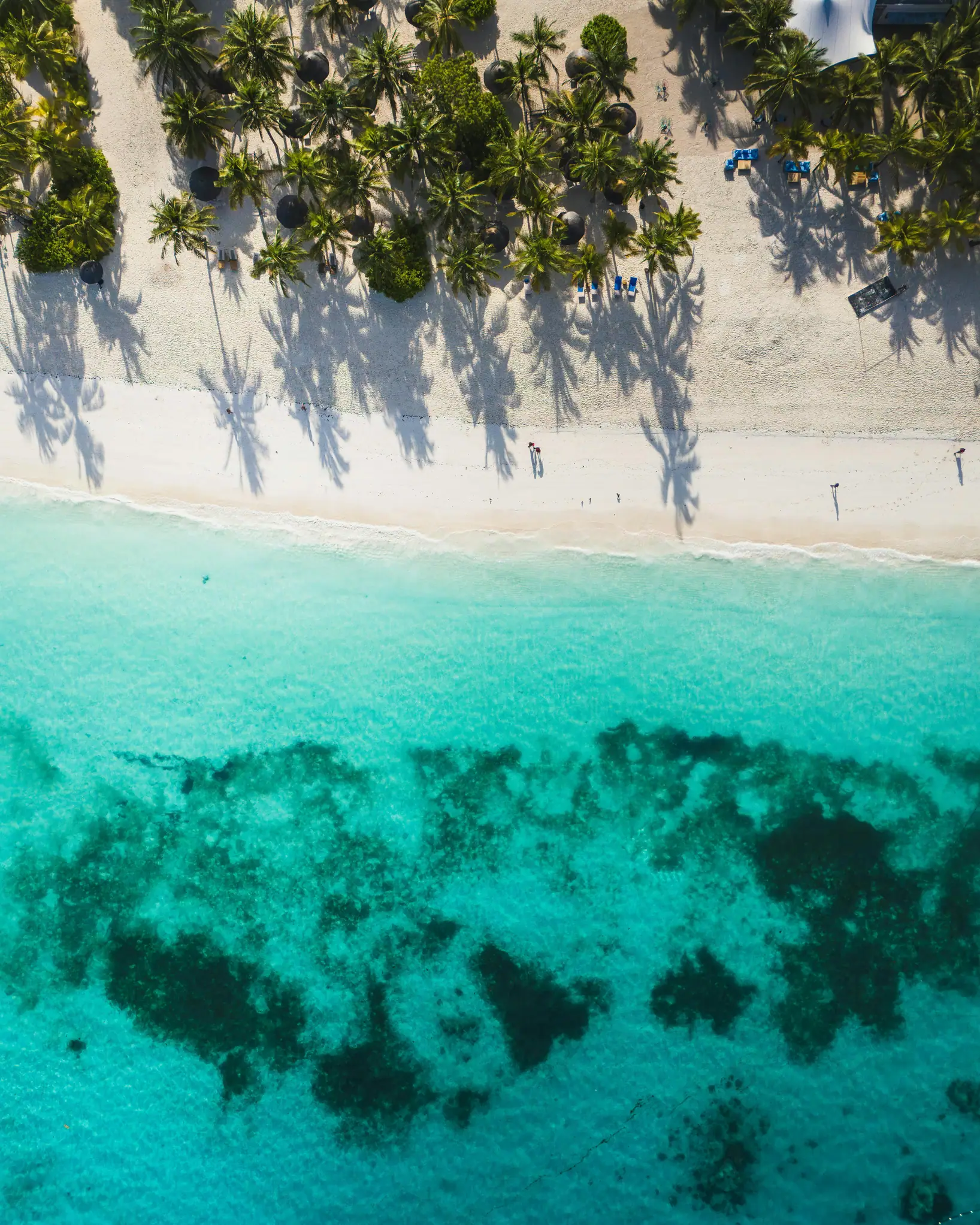 Aerial view of the reef and lagoon on Zanzibar's east coast